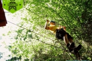 Outdoor Sport – Summer Fun